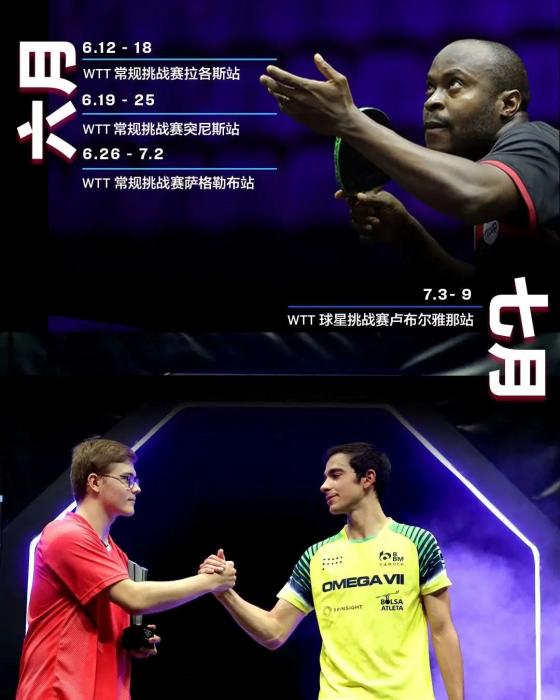 WTT冠军赛正式落户法兰克福 将于2023年10月开赛，