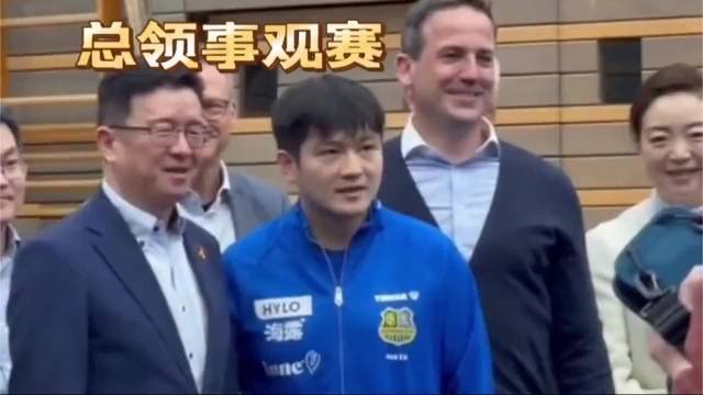 樊振东德甲赛场表现引热议 与王励勤沟通后或暂